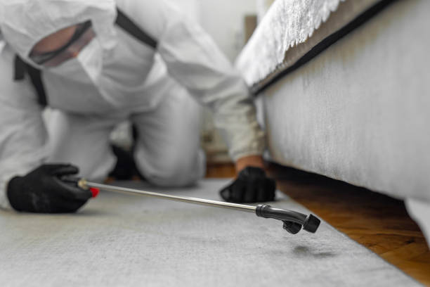 Professional Bed Bug Control technician working in Garland, NC